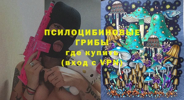 ешки Абаза