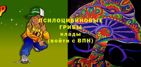 ешки Абаза