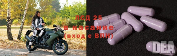 spice Алзамай