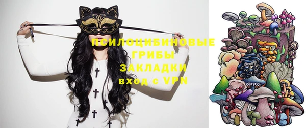 ешки Абаза