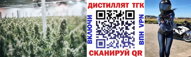 Дистиллят ТГК Wax Лосино-Петровский