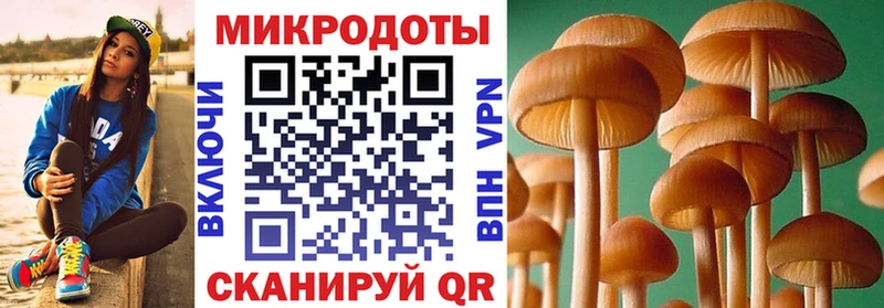 закладки  Лосино-Петровский  Псилоцибиновые грибы MAGIC MUSHROOMS 