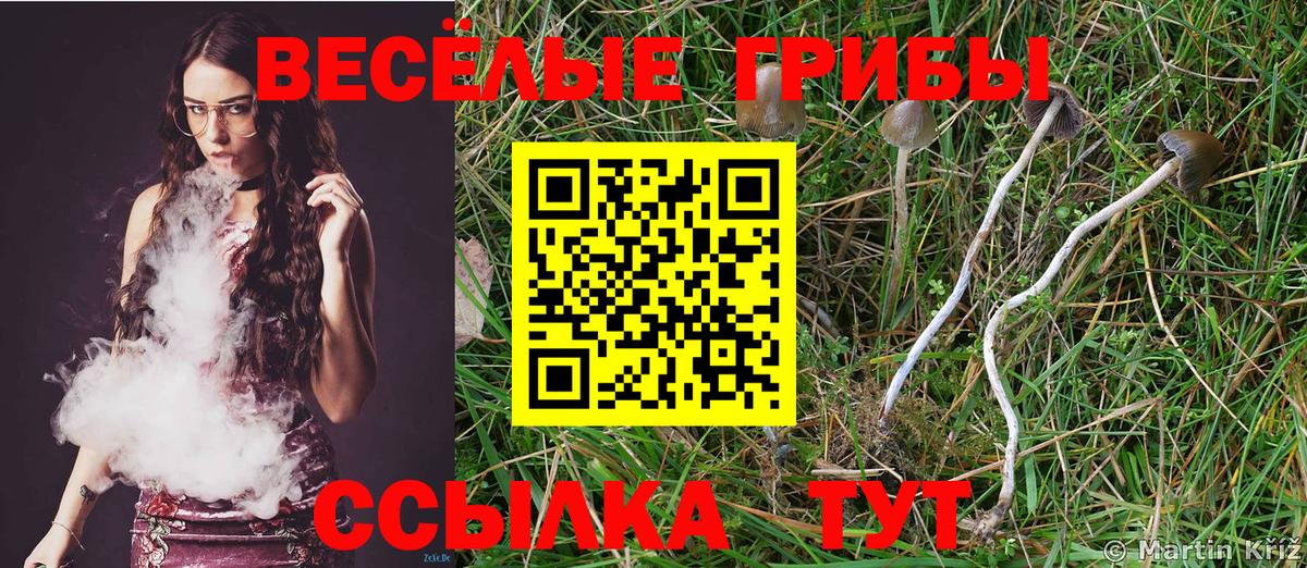 Галлюциногенные грибы мухоморы  Вход с VPN  Лосино-Петровский  Псилоцибиновые грибы GOLDEN TEACHER 